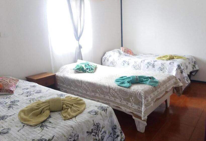 여관 Cabañas Vai Hinaaro