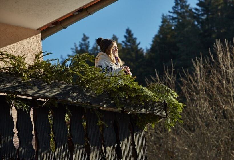 פונדק Gasthof Zum Löwen Enzklösterle
