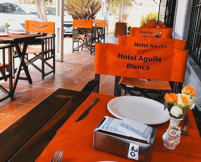 호텔 Aguila Blanca
