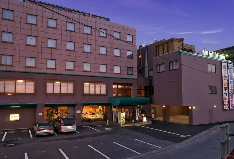 هتل City Field Kagohara