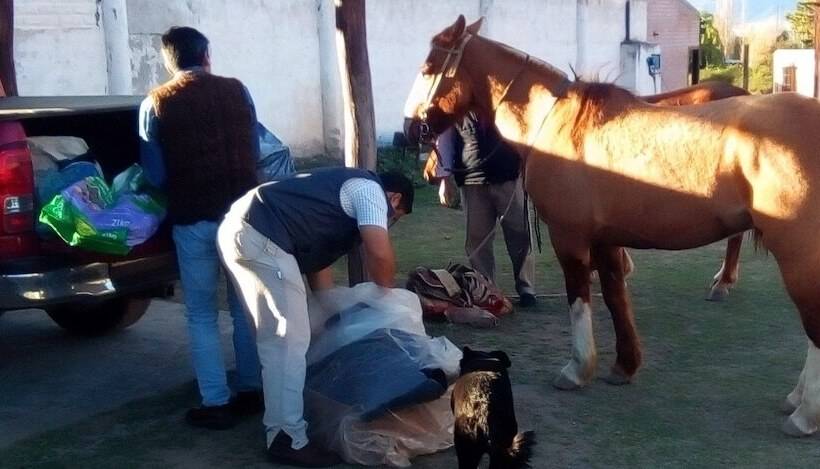 هتل Hosteria Buena Vista