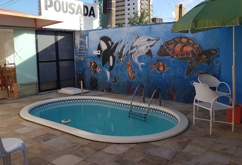 酒店 Pousada Manaíra Buena Playa