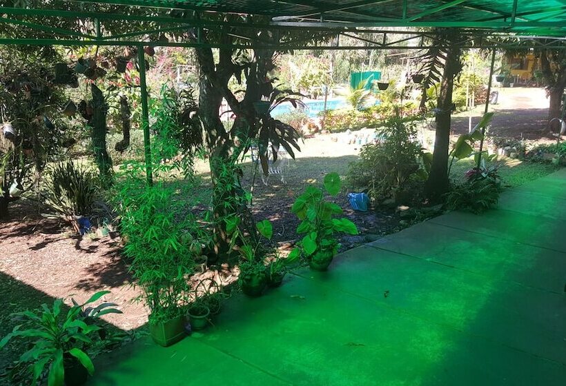 ホテル Residencial Amigos