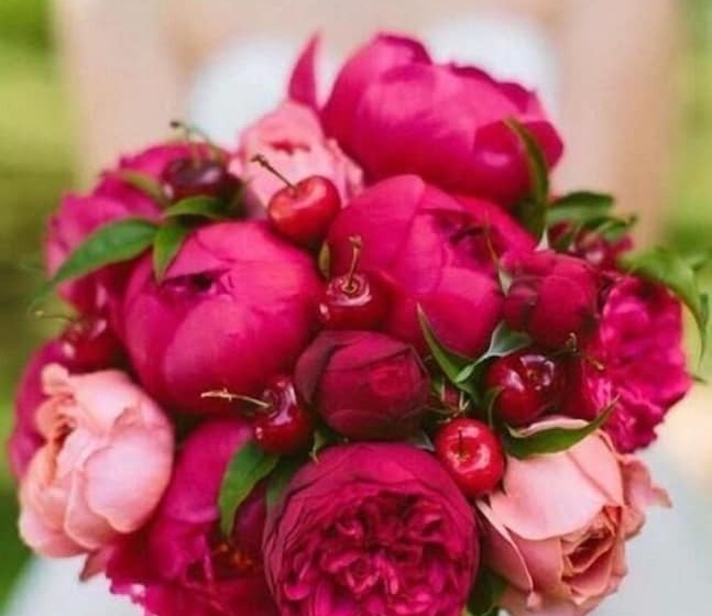 ホテル ángel De Santa Fe