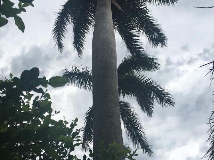 ホテル ángel De Santa Fe