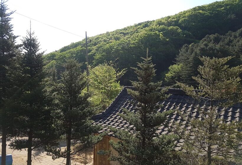 Hwaya Mountain Pension