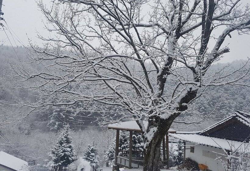 Hwaya Mountain Pension