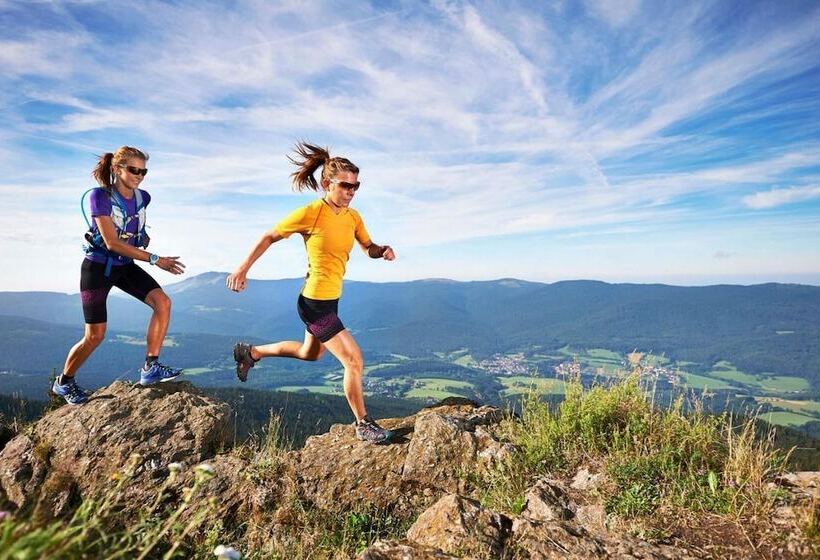 Natura Hotel Bodenmais   Inkl Soft  Und Heißgetränkeflat