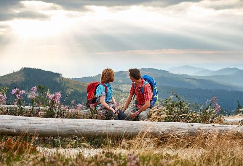 Natura Hotel Bodenmais   Inkl Soft  Und Heißgetränkeflat