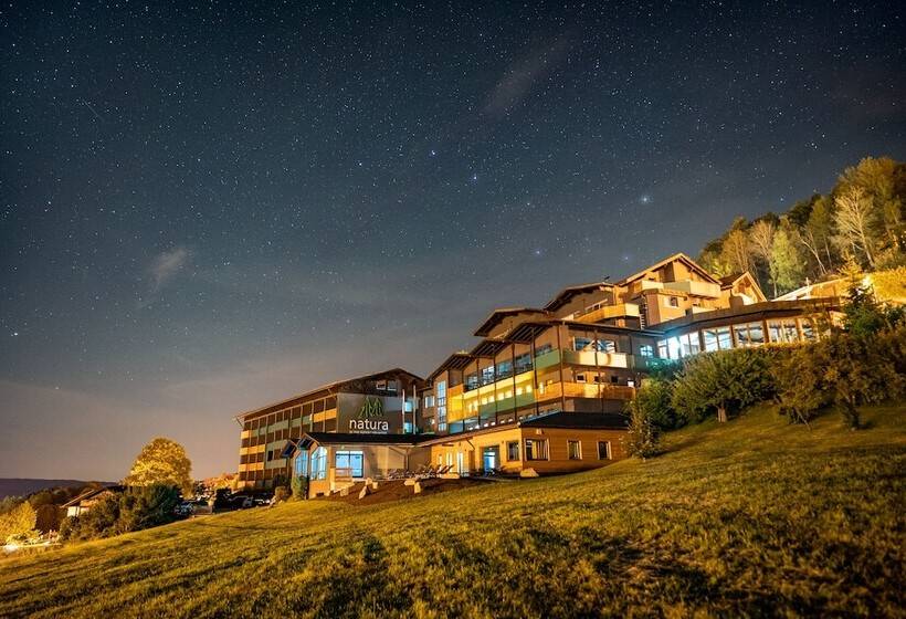 Natura Hotel Bodenmais   Inkl Soft  Und Heißgetränkeflat