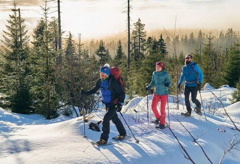 Natura Hotel Bodenmais   Inkl Soft  Und Heißgetränkeflat