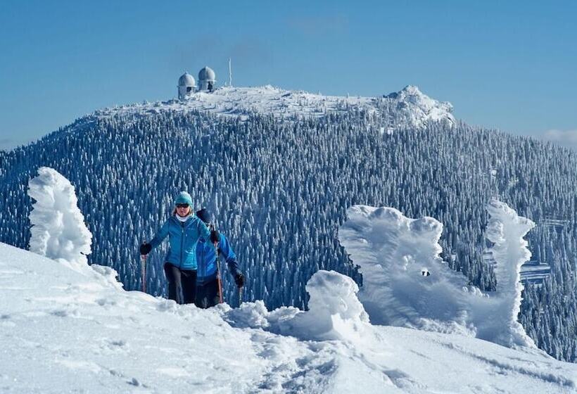 Natura Hotel Bodenmais   Inkl Soft  Und Heißgetränkeflat