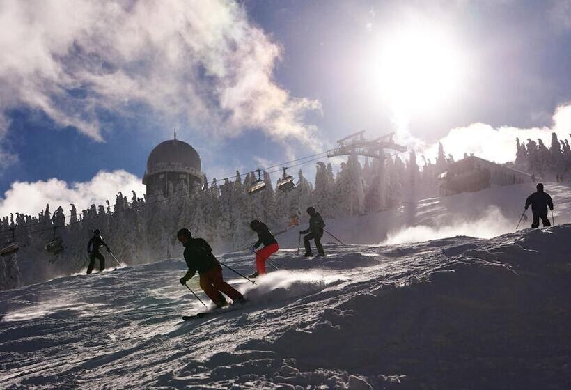 Natura Hotel Bodenmais   Inkl Soft  Und Heißgetränkeflat