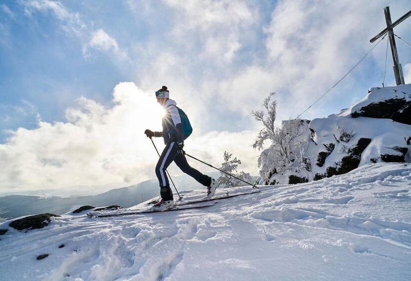 Natura Hotel Bodenmais   Inkl Soft  Und Heißgetränkeflat