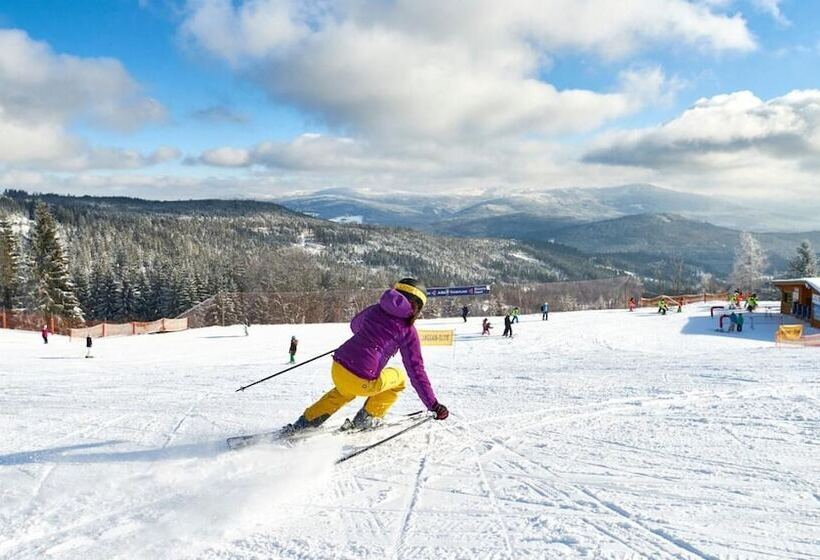 Natura Hotel Bodenmais   Inkl Soft  Und Heißgetränkeflat
