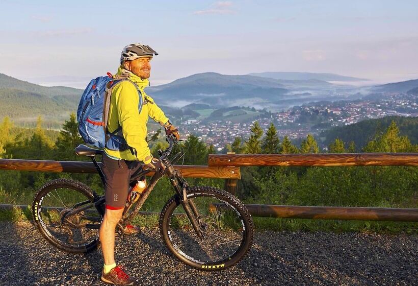 Natura Hotel Bodenmais   Inkl Soft  Und Heißgetränkeflat