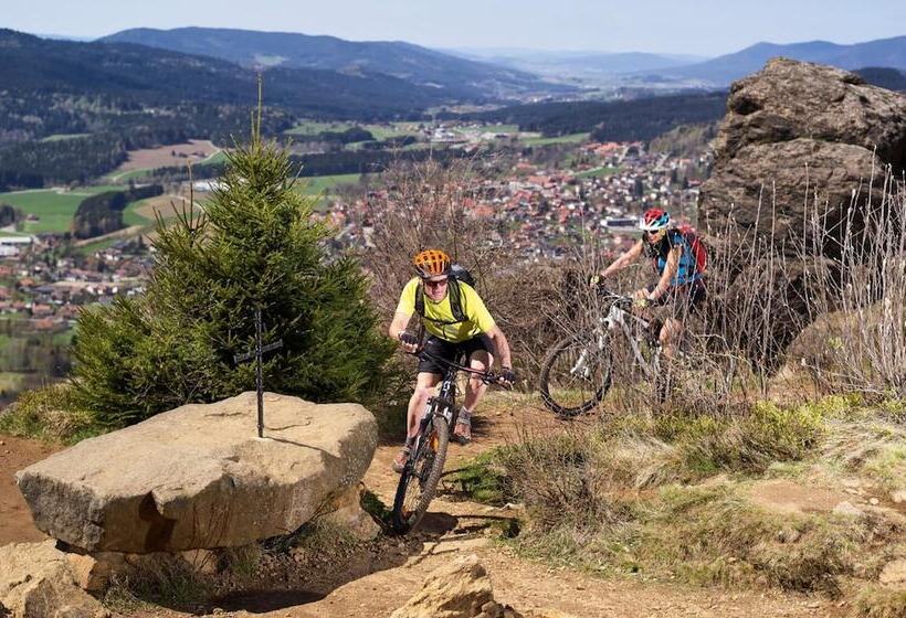 Natura Hotel Bodenmais   Inkl Soft  Und Heißgetränkeflat