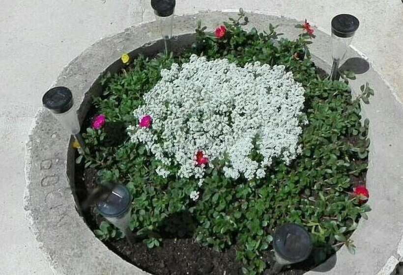 پانسیون Apartments Boćin Rosso