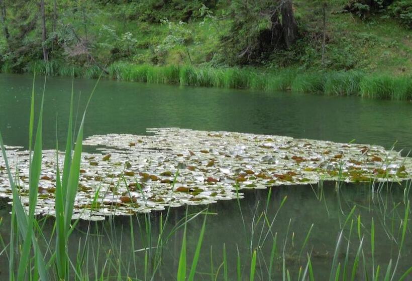 פנסיון Haus Bergkranz