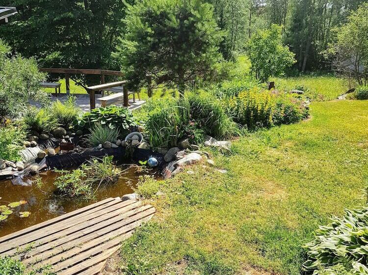 Пансион Olkka Ranch