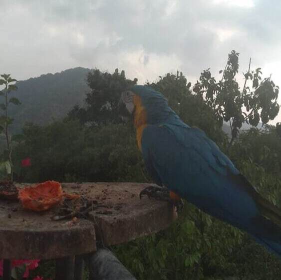 The Chill Out Hostel