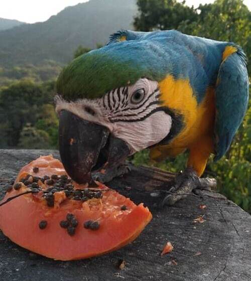 The Chill Out Hostel