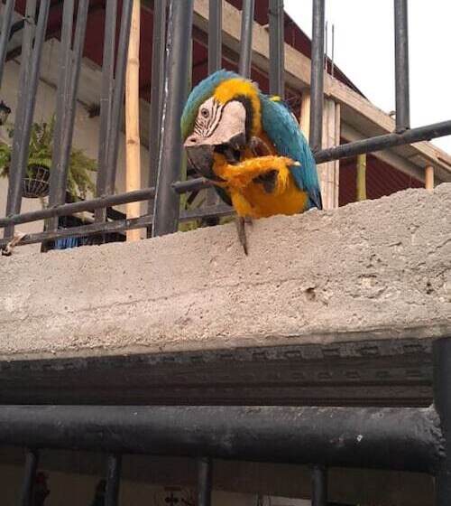 The Chill Out Hostel