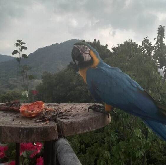 The Chill Out Hostel