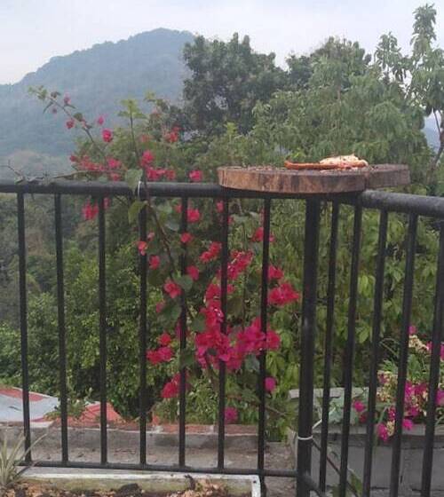 The Chill Out Hostel