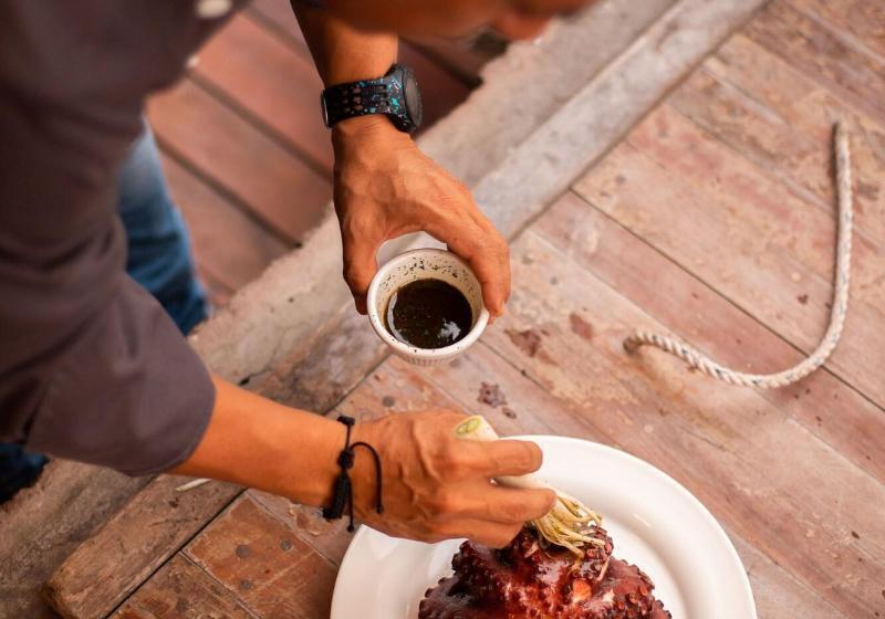 Villa Escalesia Galapagos