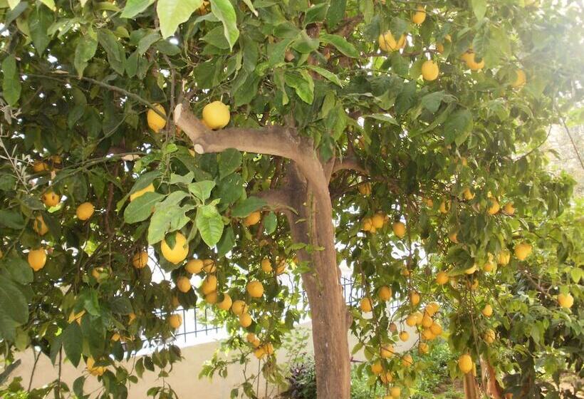 Agii Apostoli Studios