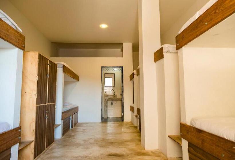 هاستل Tnt Mirador