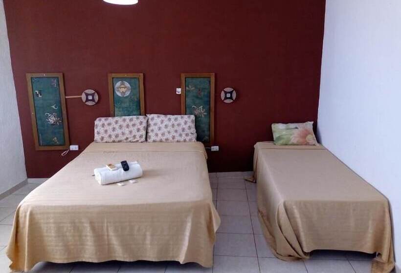 تختخواب و صبحانه Petit Hotel Panambi