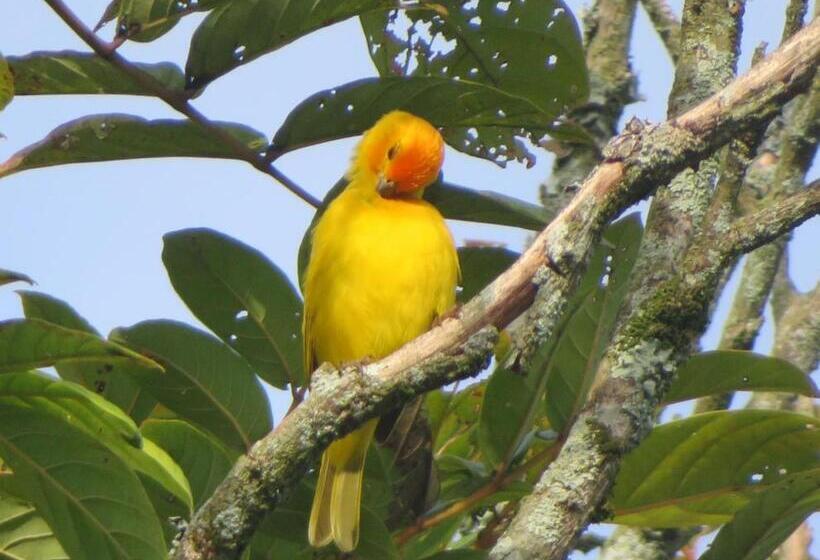 Finca Hotel El Palmar