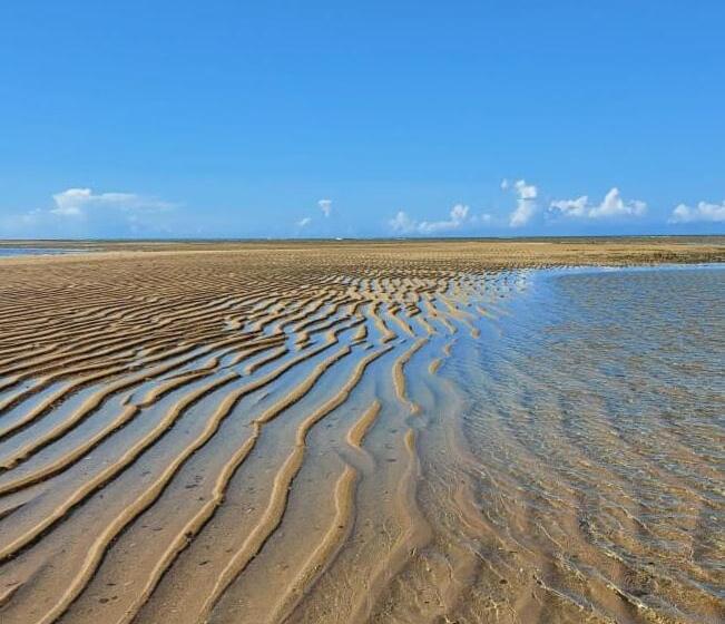 בית מלון כפרי Areia Do Atlantico