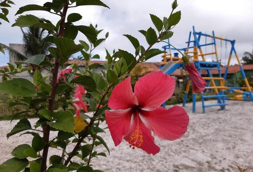 בית מלון כפרי Areia Do Atlantico