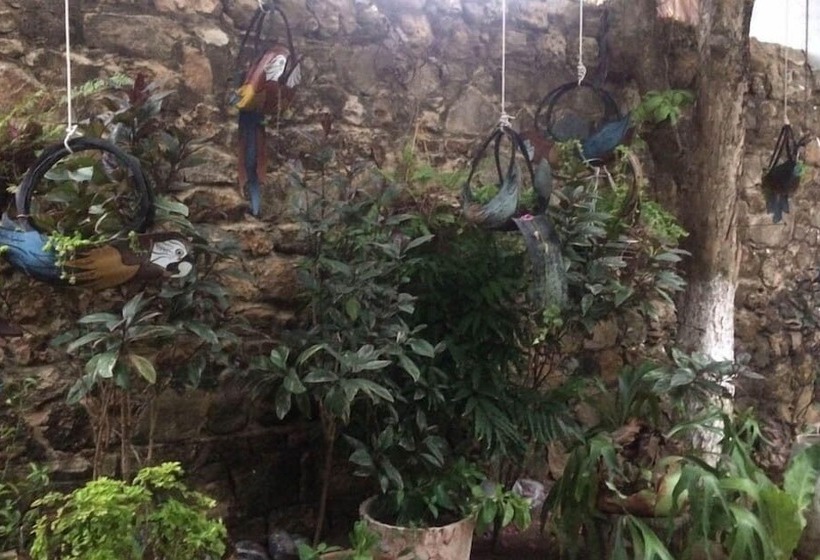 Отель Boutique Casa Berastegui