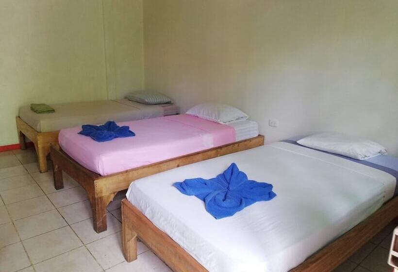 Отель Cabinas Talamanca