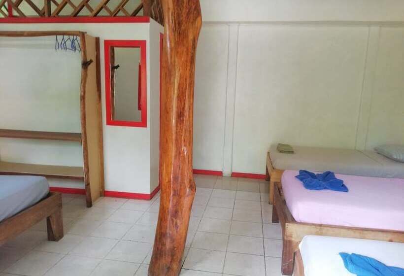 Отель Cabinas Talamanca