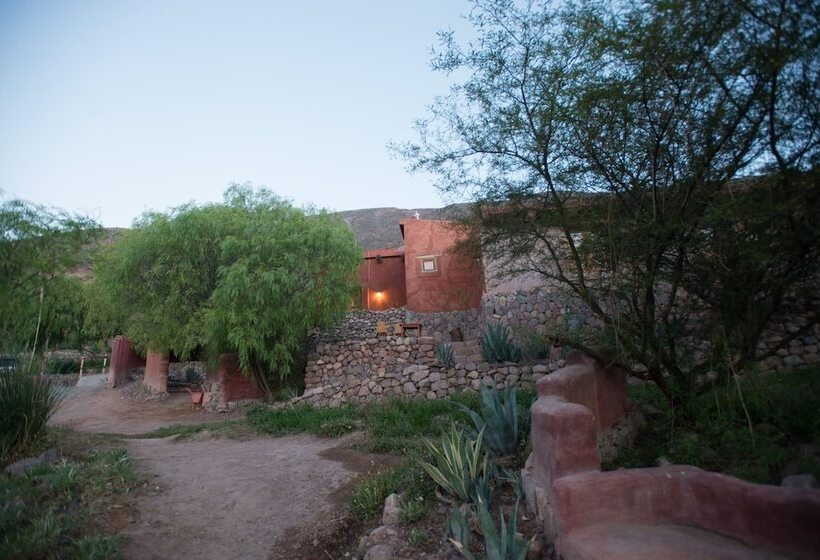 호텔 Cerro Chico Lo Del Frances