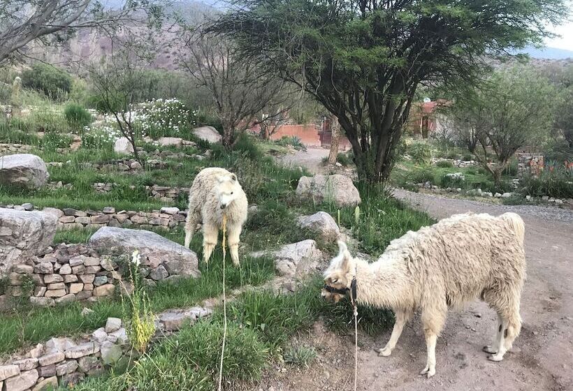 호텔 Cerro Chico Lo Del Frances