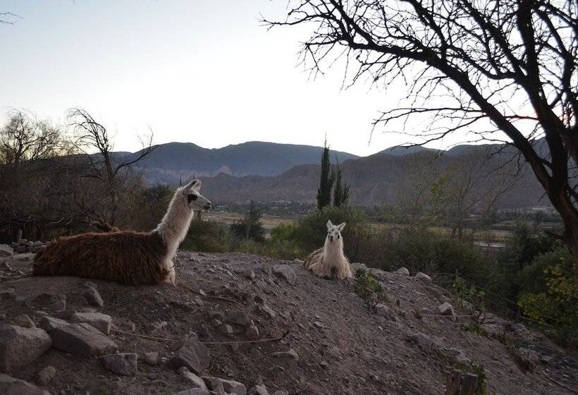 호텔 Cerro Chico Lo Del Frances
