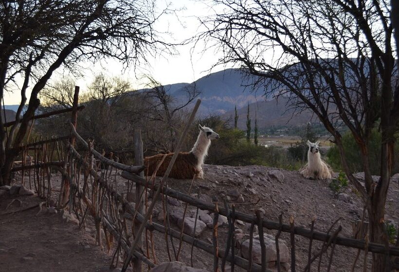 호텔 Cerro Chico Lo Del Frances