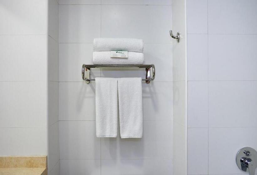 בית מלון כפרי Diego De Almagro Talca Express