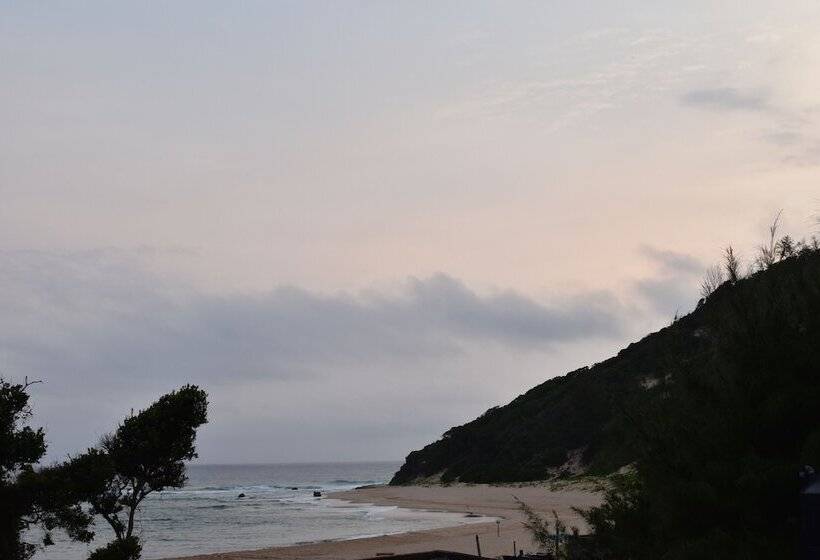 فندق Gamboozini Lodge