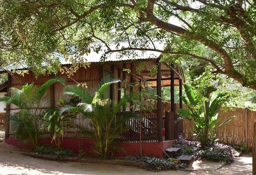 ホテル Gamboozini Lodge