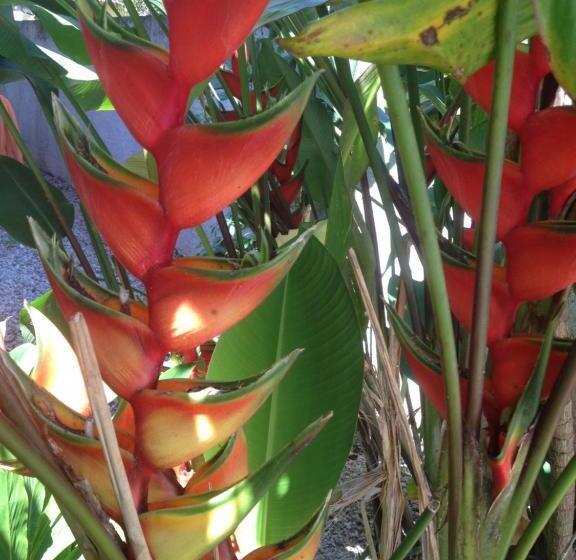 هتل Itamambuca Casa De Praia