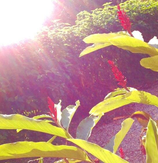 هتل Itamambuca Casa De Praia