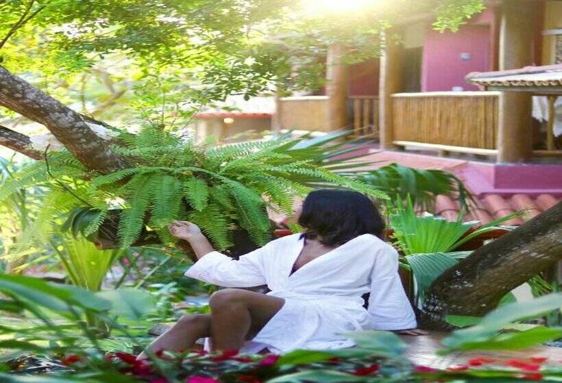 酒店 Paraiso Ecologico Pousada & Spa