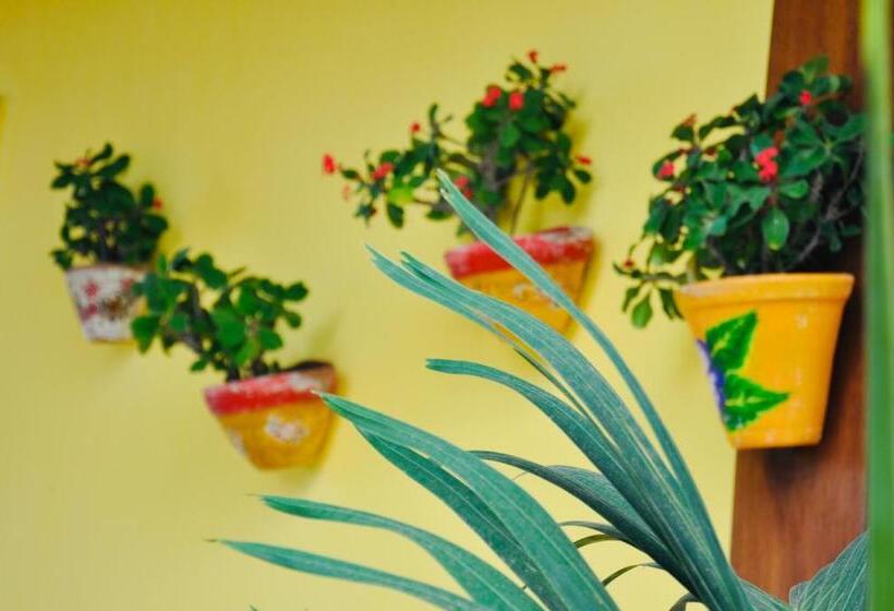 בית מלון כפרי Pousada Ventos Do Guajiru Casa De Kitesurfistas